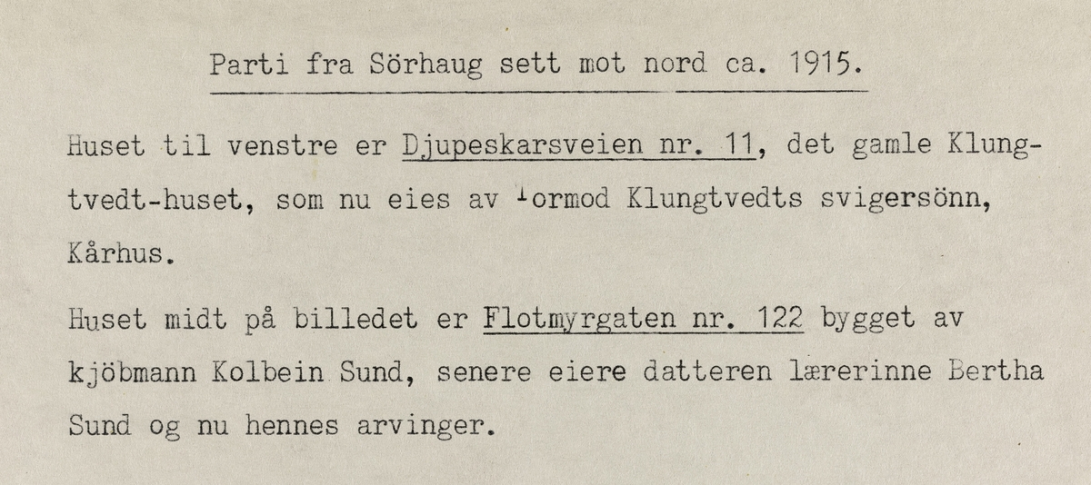 Parti fra Sørhaug sett mot nord, ca. 1915.