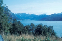 Utsikt innover en fjord. Trær i forgrunnen og fjell i bakgru