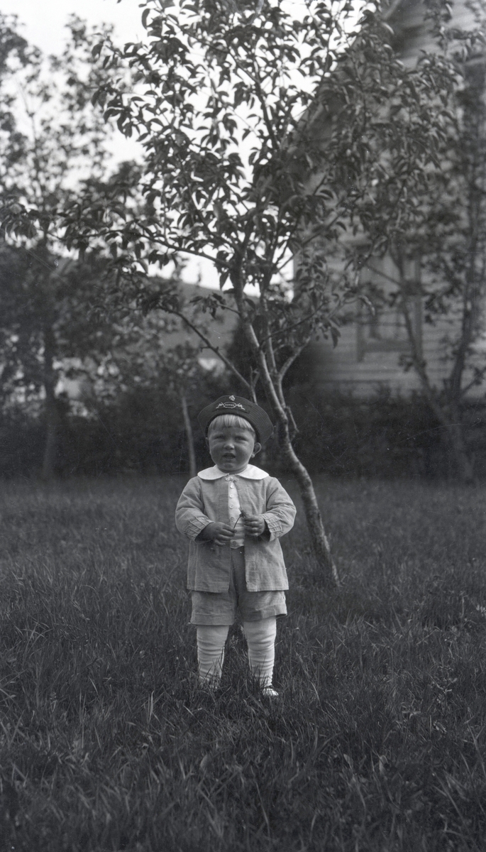 Portrettfotografi av en liten gutt i en frukthage.