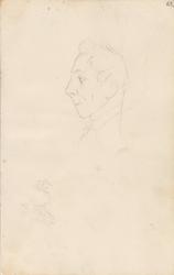 Mannsprofil; hestehode [Tegning]