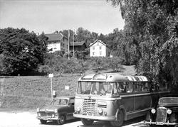 Aulestad, buss, bil, flagg, allé, veranda, drengestua,