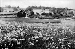 Gården Bø i Follebu.
