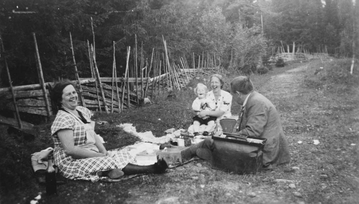 Biltur med rast. to kvinner, en mann og et barn på piknik.