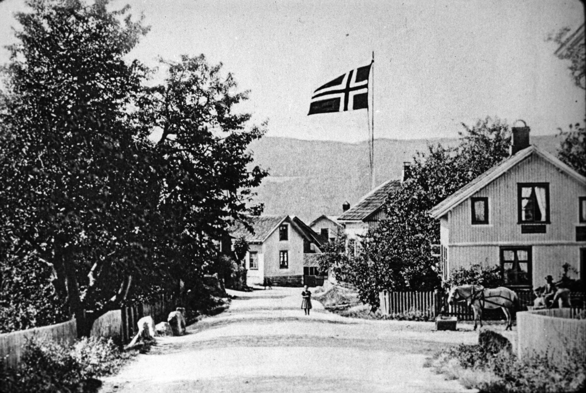 Gateparti, tettsted, norsk flagg, bolighus, hest, vogn, folk