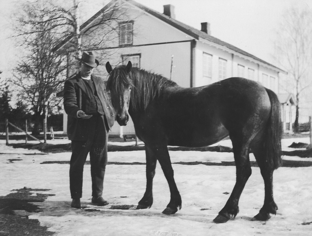 Ola Nordby med hest