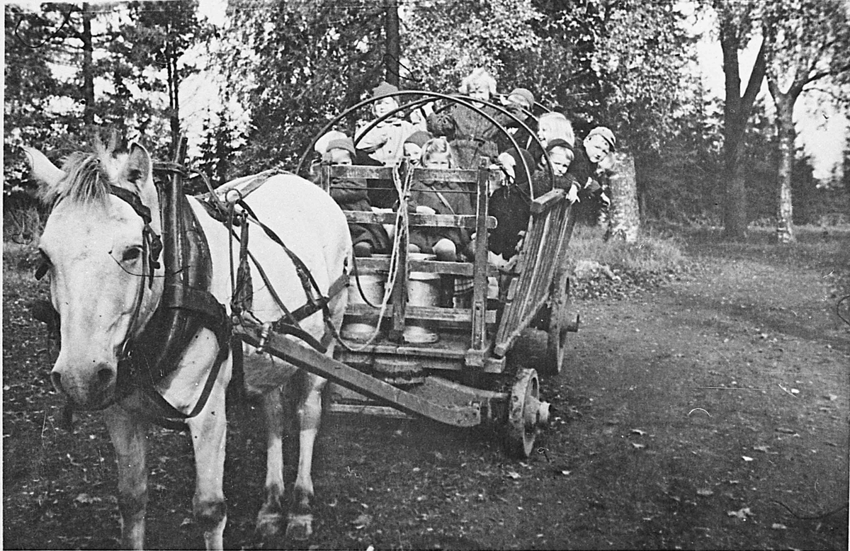 Fra barnehagen ”Lerkelund” på Bøn. 1948
Hest og vogn med barn bakpå. Hesten heter Loppen