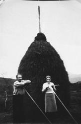 Ingvald Aasen`s Haystakk i Langvassdalen..Reinsfjellet ses i