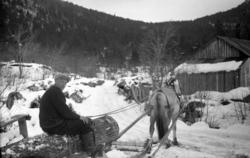 Hans Åram kjører tømmer