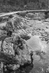 På stølen på Nord-Heggdal.