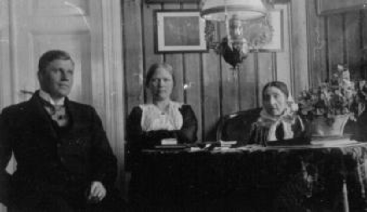 Ringsaker, Sveinhaug gård, Interiør fra stue. Rundt bordet er Rolf Thommesen, fru Anne Thomessen, Gønner Sveinhaug (1875-1953)