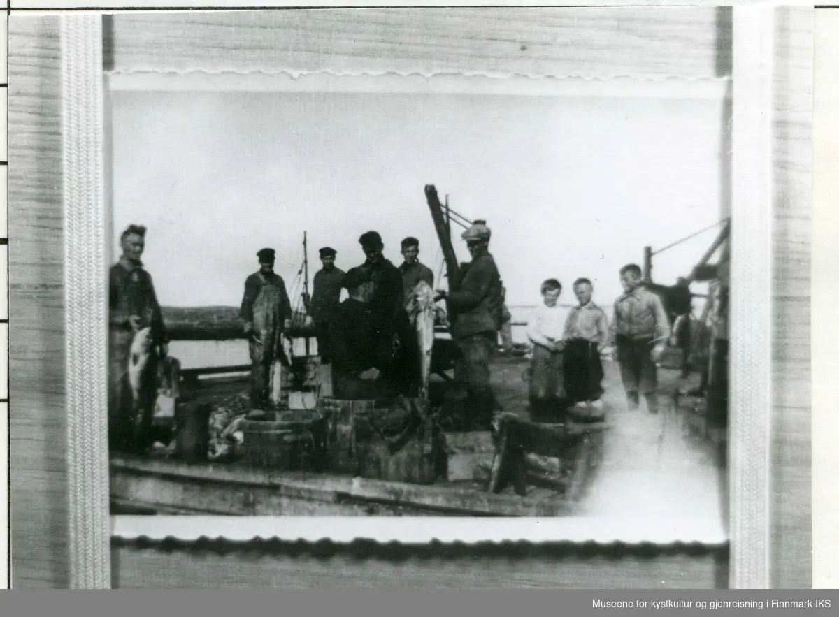 Fiskeriarbeidere på Robertsenkaia i Kåven i Gamvik. Ernst Jørgensen står med fisk i hånden. Noen gutter står og følger med. 1935/40.