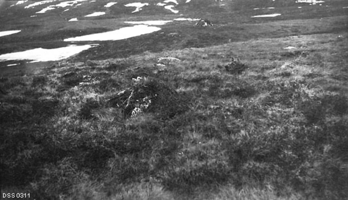 Landskapsfotografi, tatt i Finnvikdalen på Kvaløya i daværende Tromsøysundet herred (fra 1964 Tromsø kommune).  Fotografiet viser et småkupert terreng med gras og vierkratt, samt enkelte snøflekker.  Fotografens poeng har vært at dette er et landskap der det tidligere vokste bjørkeskog, som er hogd i forbindelse med at svenske reindriftssamer har hatt tilhold her og avvirket alle trærne.  Konsekvensen ble i det stedlige klimaet at skogen tilsynelatende ikke hadde evne til å reproduseres.  En samisk aktivitet som fikk slike konsekvenser bekymret norske skogfunksjonærer.  Skogforvalter Ivar Rudens beskrivelse av forholdene i Finnvikdalen på den tida dette fotografiet ble tatt er gjengitt under fanen «Opplysninger».