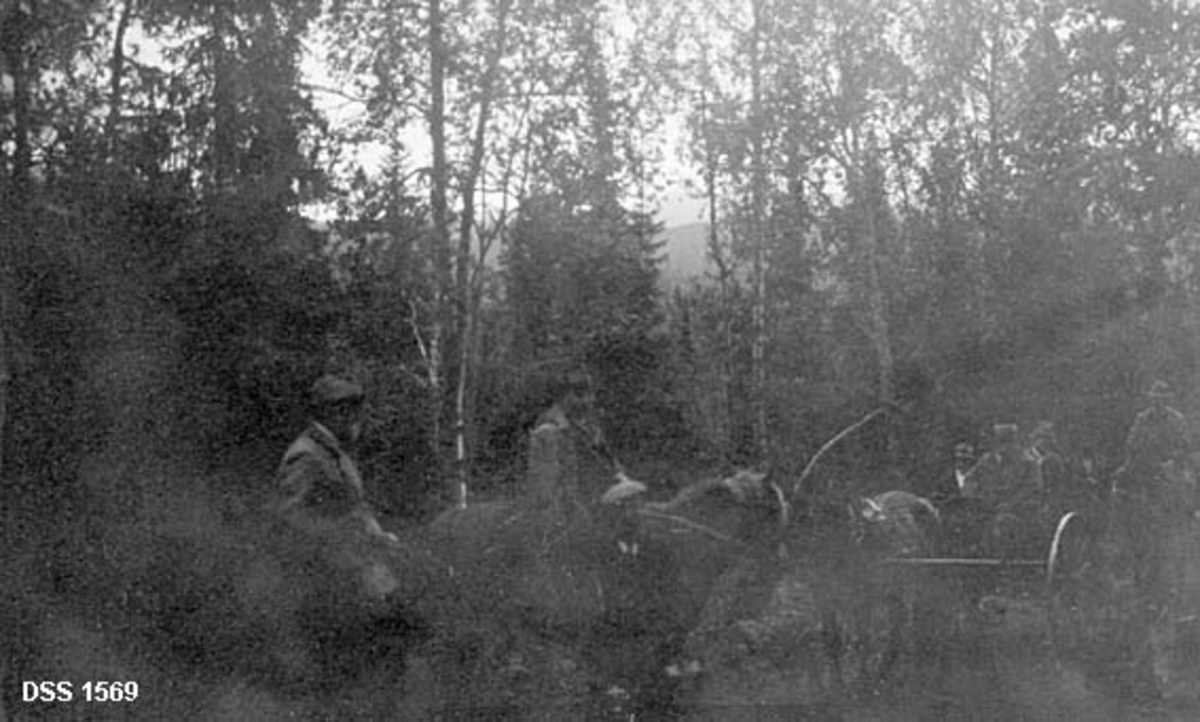 Grong Gruvers direksjon på befaring.  Herrene kjøres på hestetriller gjennom skogen.  Bildet er tatt under en stans på turen, som gikk gjennom gran- og bjørkeskog.