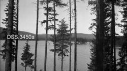 "Skogkongressen i Oslo 1930"