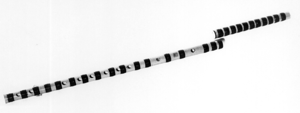 Tverrfløyte av bambus dekorert med malte svarte ringer, vindet med sort lakkert tråd. Holker av bein i hver ende. Svakt konisk boring.
6 fingerhull + 3 stemmehull + 1 innblåsningshull + 1 membranhull.

