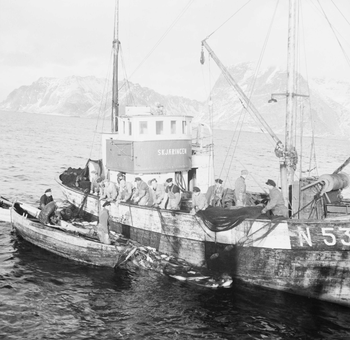 Snurpenotfiske for første gang i Lofoten med M/K Skjæringen