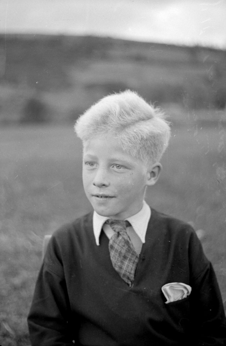 JOHAN NYGÅRD, VINGELEN P. O. ØSTERDALEN. SEPTEMBER 1943. 