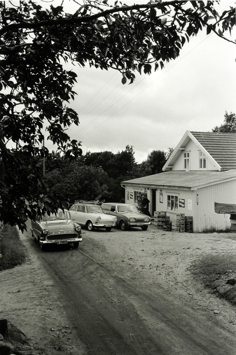Alf Prøysen med familie på hytta, Tromøya ved Arendal, foto Johan Brun for Dagbladet, negativer på Hedmarksmuseet. 