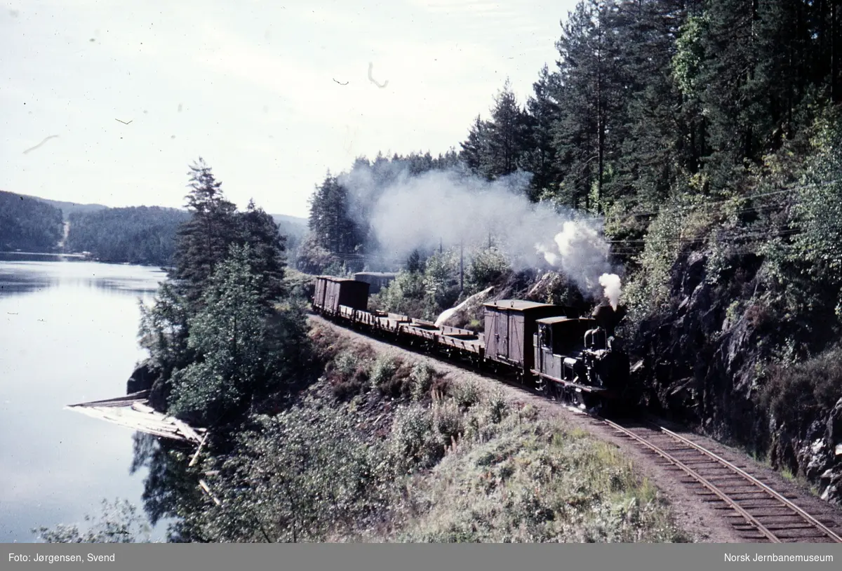 Godstog 5661, trukket av damplokomotiv nr. 2, ved innkjør til Iveland stasjon