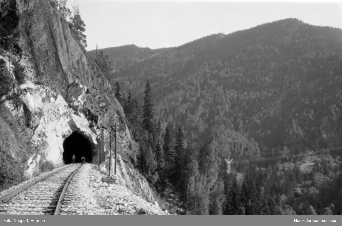 Tunnel på Numedalsbanen