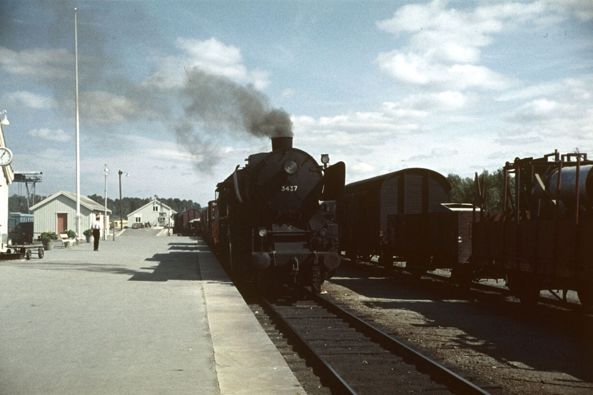 Damplokomotiv type 63a med godstog 5702 på Oppdal stasjon