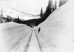 Jernbanelinjen i Alpine Pass, USA