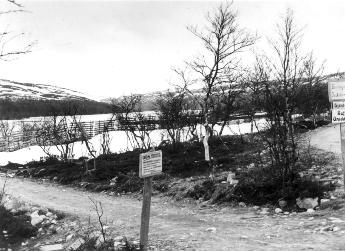 Oversiktsbilde fra Valdal ved Elgå, 1961.