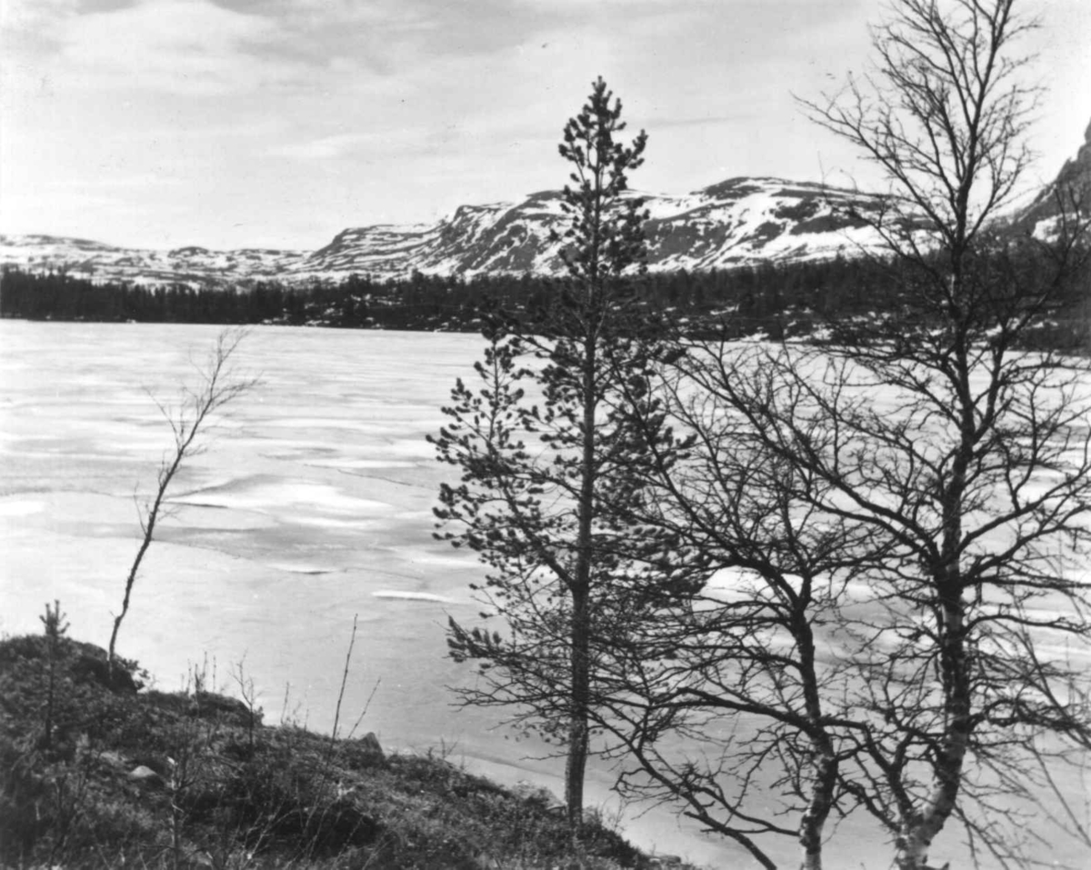 Oversiktsbilde fra Elgå. I forgrunnen et vann som ligger nedenfor Fjellgutusjøen, 1961.