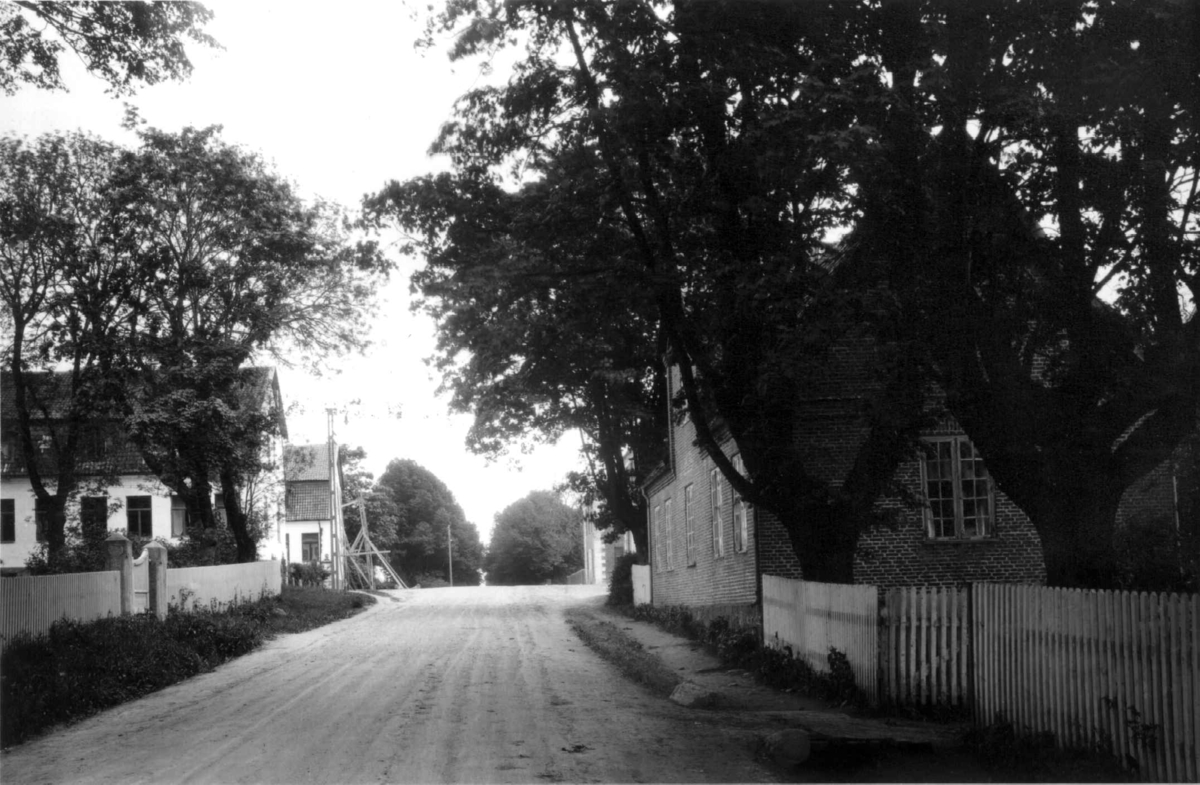 Hafslund hovedgård, Sarpsborg. 1930. Hager med trær. Stakittgjerder.