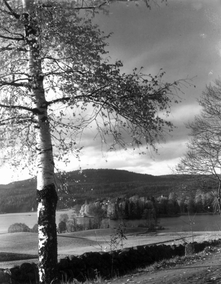 Fra Bogstad ca. 1923. Utsikt mot Bogstadvannet og omkringliggende landskap. Skog i bakgrunnen.