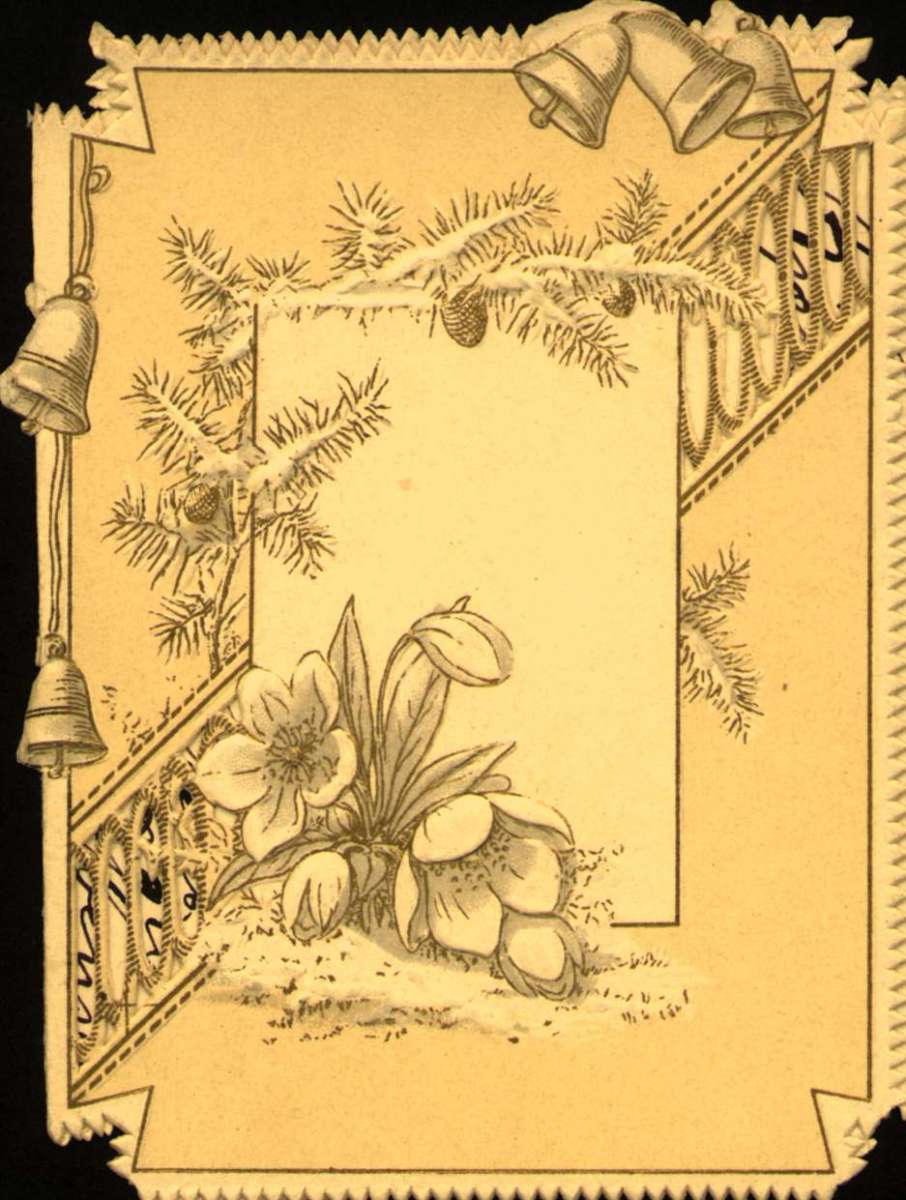 Postkort. Nyttårshilsen. Dekoret takkekort. Datert 30.12.1896.