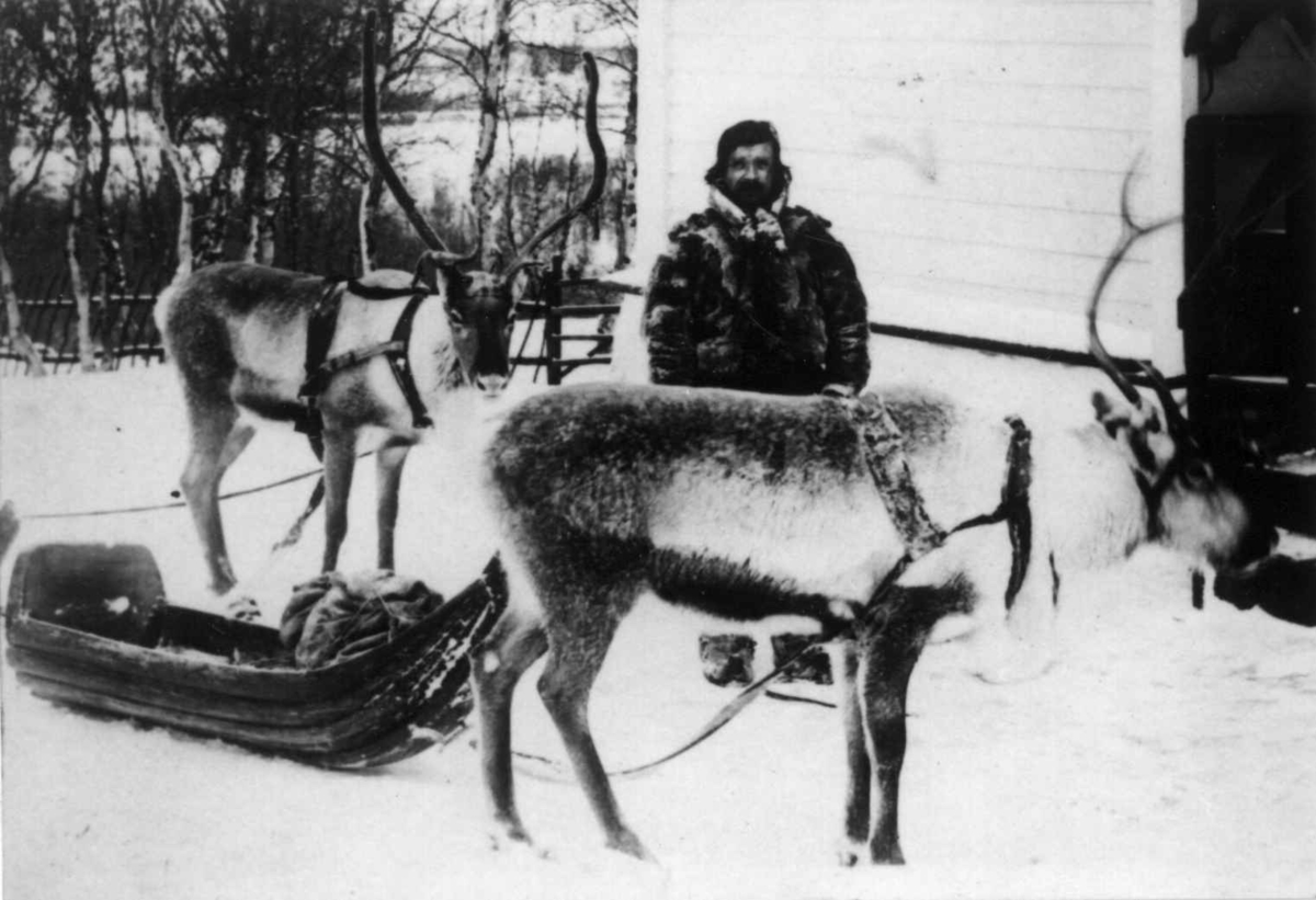 Same med reinsdyr og pulk ved legeboligen til distriktslege Wessel i Kirkenes, Sør-Varanger, Finnmark,ca. 1900.