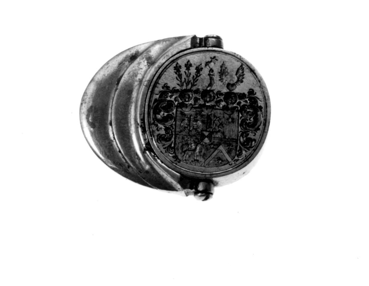 Signet i etui, Signet og halskjeder.