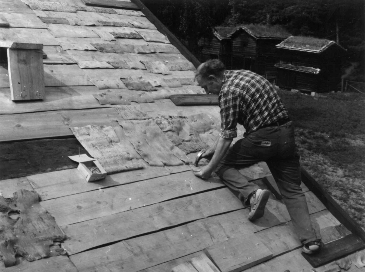 Reperasjon av tak på Oseloftet, Setesdaltunet. Handverkaren er Haugan. Fotografert av Arne Berg i juni 1978.