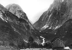 Parti af Nærødalen i Sogn.