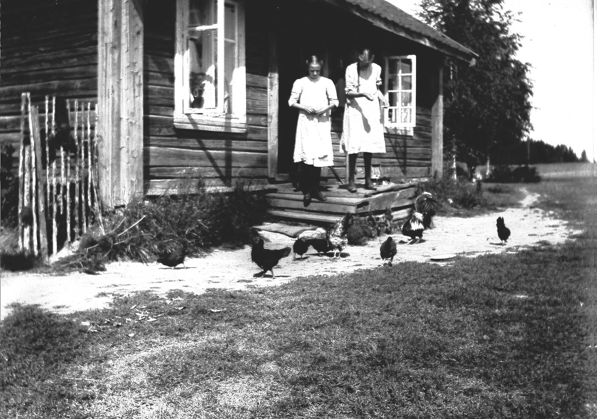 To søstrene mater hønene på utsiden av ukjent hus.