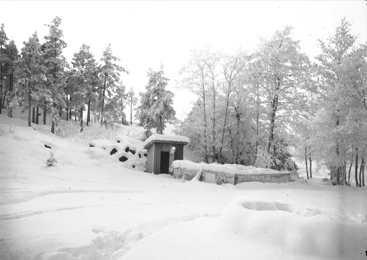 Vinterbilde med uthus fra Digerud, Frogn, Akershus, 1908.