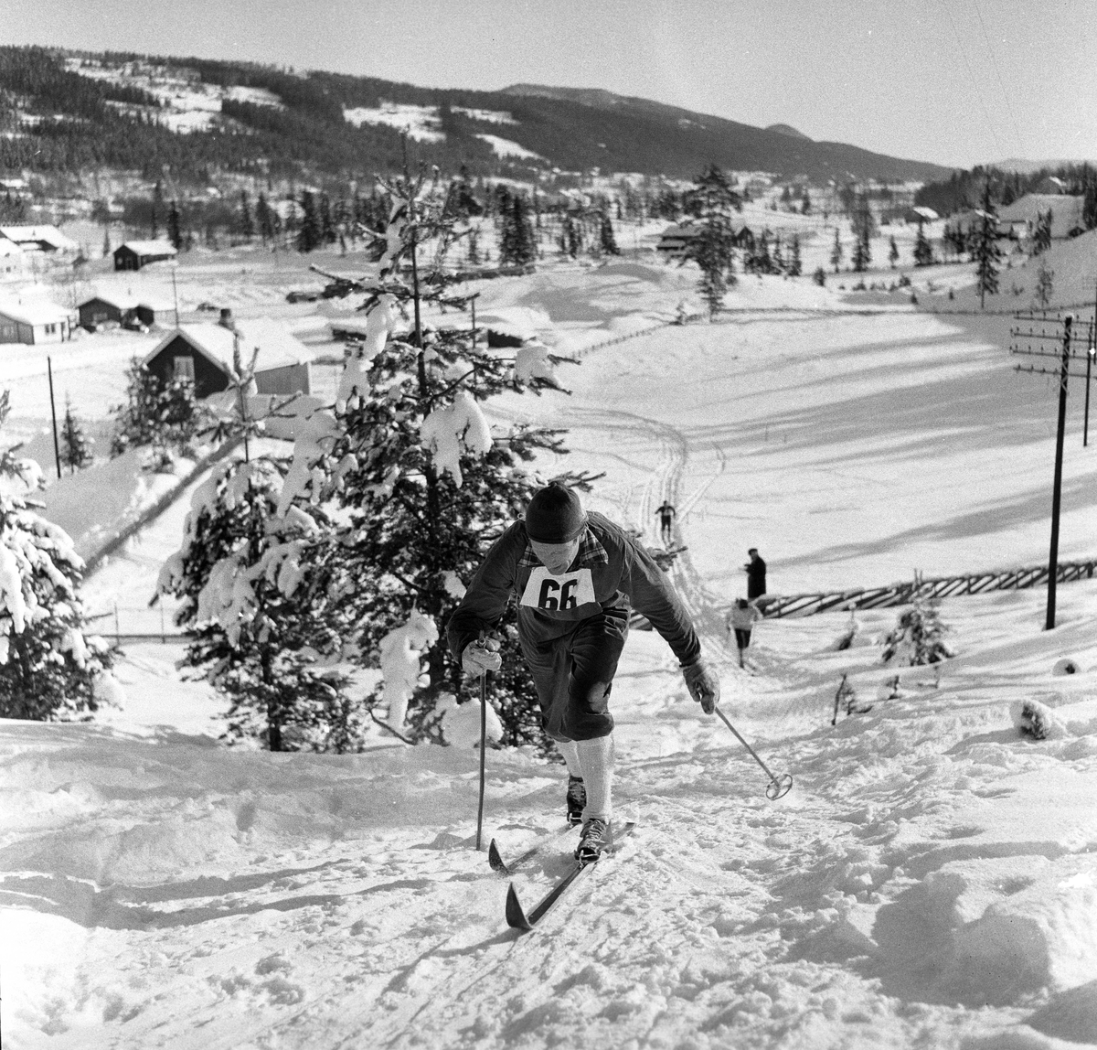Serie. Skiløperen Halgeir Brenden konkurrerer og jobber som skogsarbeider. Fotografert 1955.