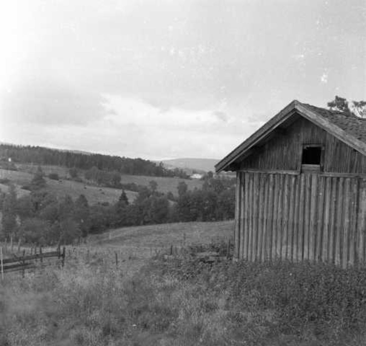 Trehus i landskap, Lillomarka, Oslo 1956.