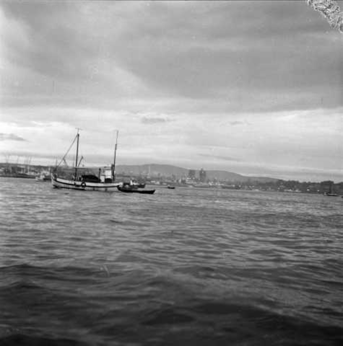 Brislingfiske, Oslo havn, 1956.
