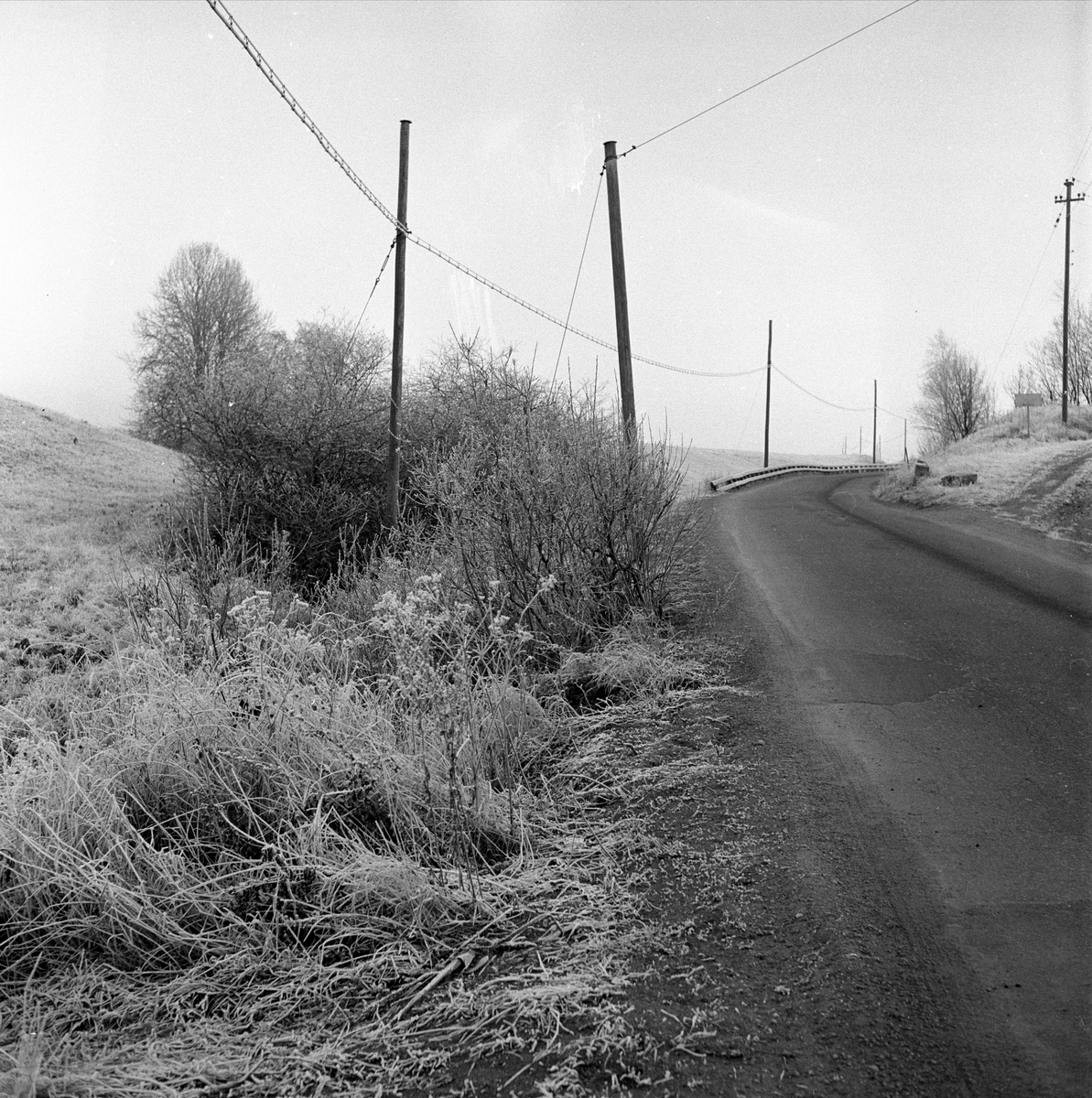 Landevei, hus i bakgrunnen, øde, 1956