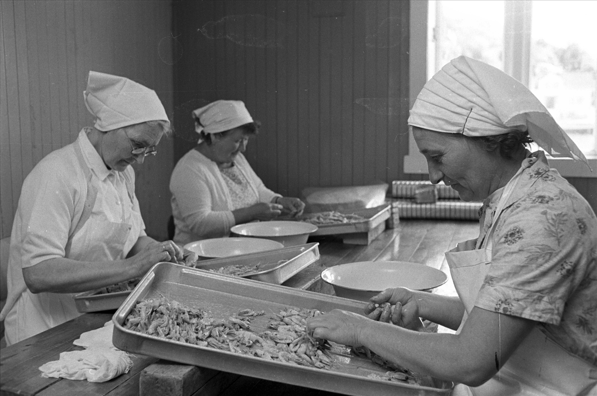 Antakelig Kvanvik Food på Hidra ved Flekkefjord i1968. Kvinner renser reker.