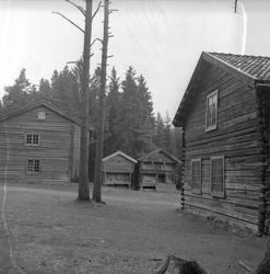 Finnskogen, august 1956. Marken. Gammel gård.