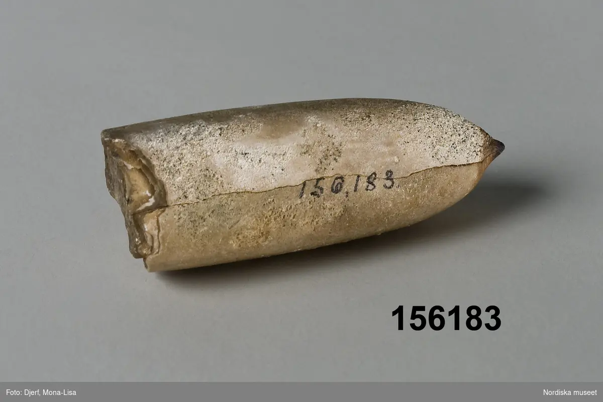 Huvudliggaren:
"'Vättaljus' av sten, fr Småland att ha i vaggan hos odöpta barn. G. 3/2 1926 av Fröken Salla Welander, Sthlm."

Vätte-ljus, vätta-ljus, vätta-stenar eller dönne-stenar har i folkmun varit benämningar på ett slags fossil av utdöda bläckfiskar (belemniter) med cigarrliknande, avlång form, påminnande om ett hemstöpt ljus. Vättar var enligt förkristen tro övernaturliga väsen som levde under jorden utan samröre med människorna så länge de inte stördes. Blev de förorättade genom att få smutsvatten, urin eller annan vätska över sig kunde de dock hämnas, bland annat genom att överföra sjukdom på människorna. Om vätteljus skriver Schön i boken Älvor, vättar och andra väsen (1990): "När vättarna var uppe på markytan om kvällarna och hade arbeten att utföra eller bara ville dansa och leka, så lyste de med ett slags konstiga ljus som man kunde hitta efteråt, när vättarna själva hade återvänt till sina visten under jorden". Vätteljus ansågs besitta magiska, välgörande krafter och användes inom folkmedicinen för att behandla en mängd olika åkommor och sjukdomar hos människor och djur. Magåkommor, med aptitlöshet och allmän kraftnedsättning kunde exempelvis botas med krossade vätteljus inbakade i bröd. Krossat vätteljus kunde också läggas på öppna sår för att snabbare få dem att läka. Vätteljusen förekom framför allt i Skåne och såldes därifrån vidare till andra delar av landet. I Nordiska museets Folkminnessamling finns flera uppgifter om hur "vättaljus" användes. Emma Bengtsson, född 1859 i Morup socken, Halland berättar: "Späda barn fingo ibland en besynnerlig sjukdom. Den bestod däri att på fingerspetsarna och tåspetsarna blev det små hårda uddar eller nabbar [...] Barnen blevo oroliga och kinkiga. Då trodde de, att att det berodde på att vättler kommo och sugde på fingrarna och tårna, och så blev barnet sjukt. [...] Den sjukdomen botades med vättleljus. Det fick man köpa på apoteket [...] små avlånga, gråaktiga bitar. Ett sådant bands om halsen på det sjuka barnet [...] så att [det] hängde på bröstet." (Ifgh. 1970:s. år 1930)   
/Ulrika Torell 2007-10-29