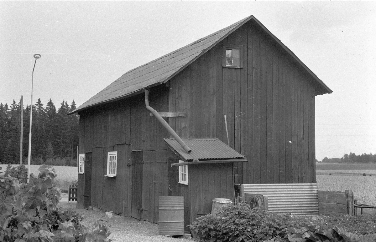 Före detta fähus och vedbod, Fansta 5:1 och 5:3, Lövstalöt, Bälinge socken, Uppland 1976