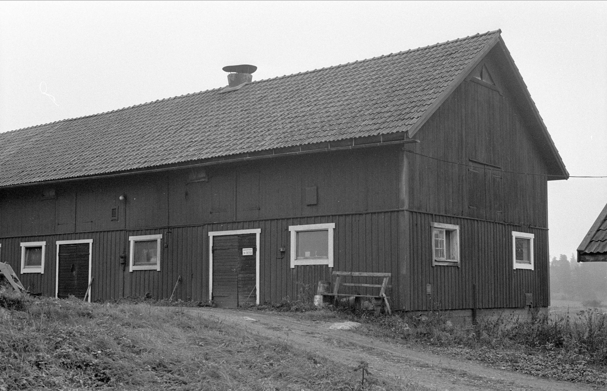 Ladugård, Hässle 4:3, Dalby socken, Uppland 1984