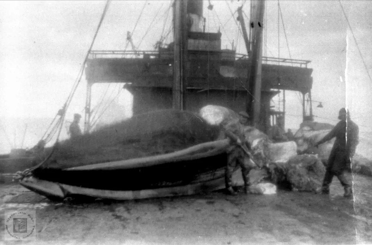 Arne Høye sen. på hvalfangst i 1931 med båten "Pelagos".