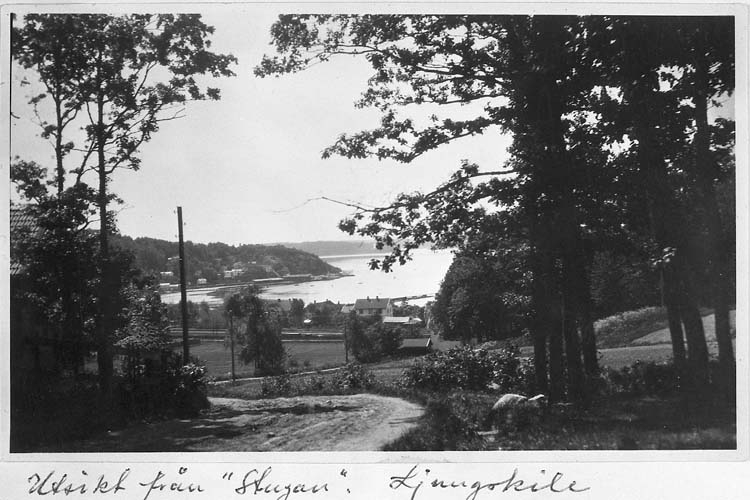 Text på kortet: "Utsikt från "Stugan", Ljungskile".