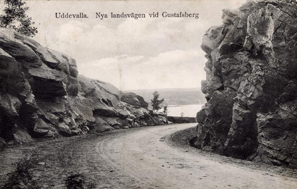Tryckt på kortet: "Uddevalla. Nya landsvägen vid Gustafsberg."