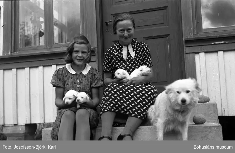 Fru Berta Johansson, Kråkeröd, med sommarbarn, hund och valpar.